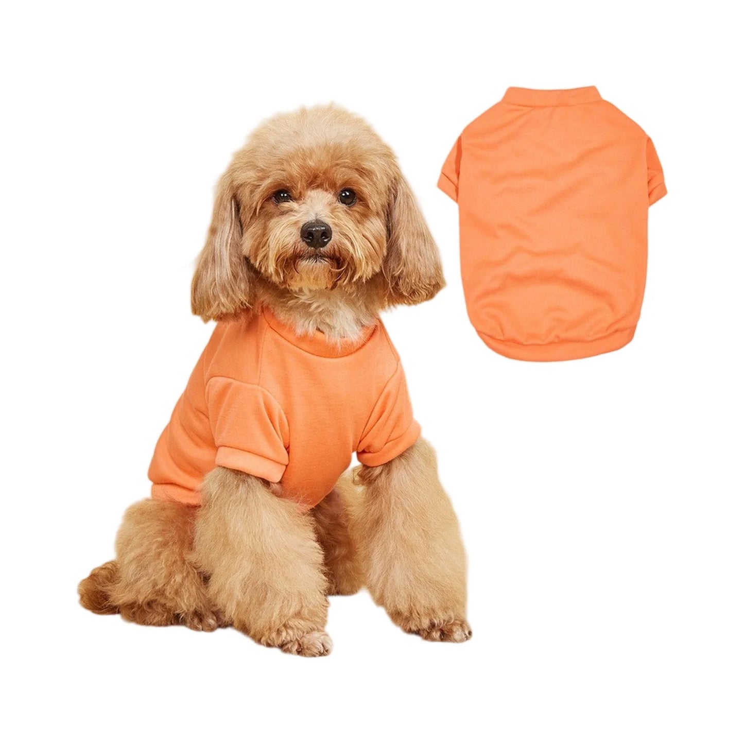 Solid Summer Dog Tee