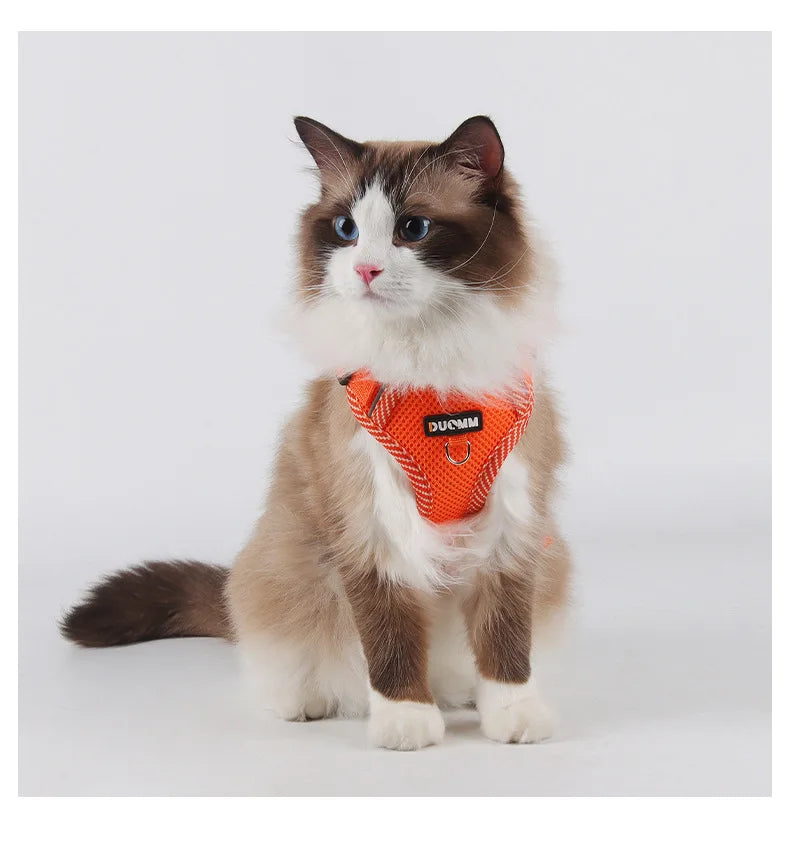 Reflective Mesh Cat Harness & Leash Set