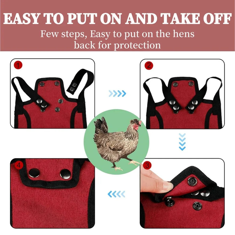 Chicken Saddle Hen Apron (Feather Protector)