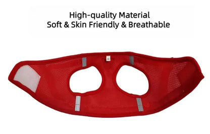 Reflective Escape-Proof Cat Harness Set