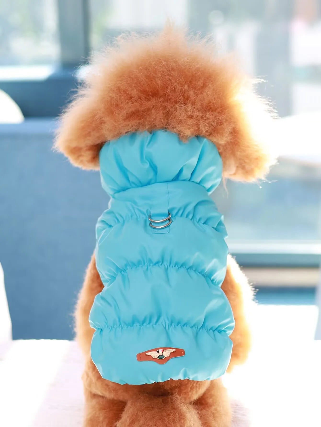 3-Layer Thick Winter Dog Coat