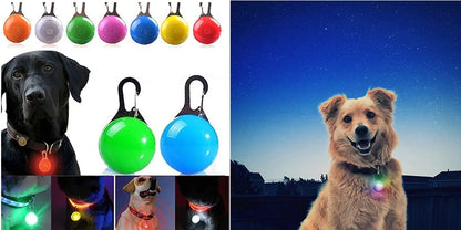 LED Light-Up Dog Collar