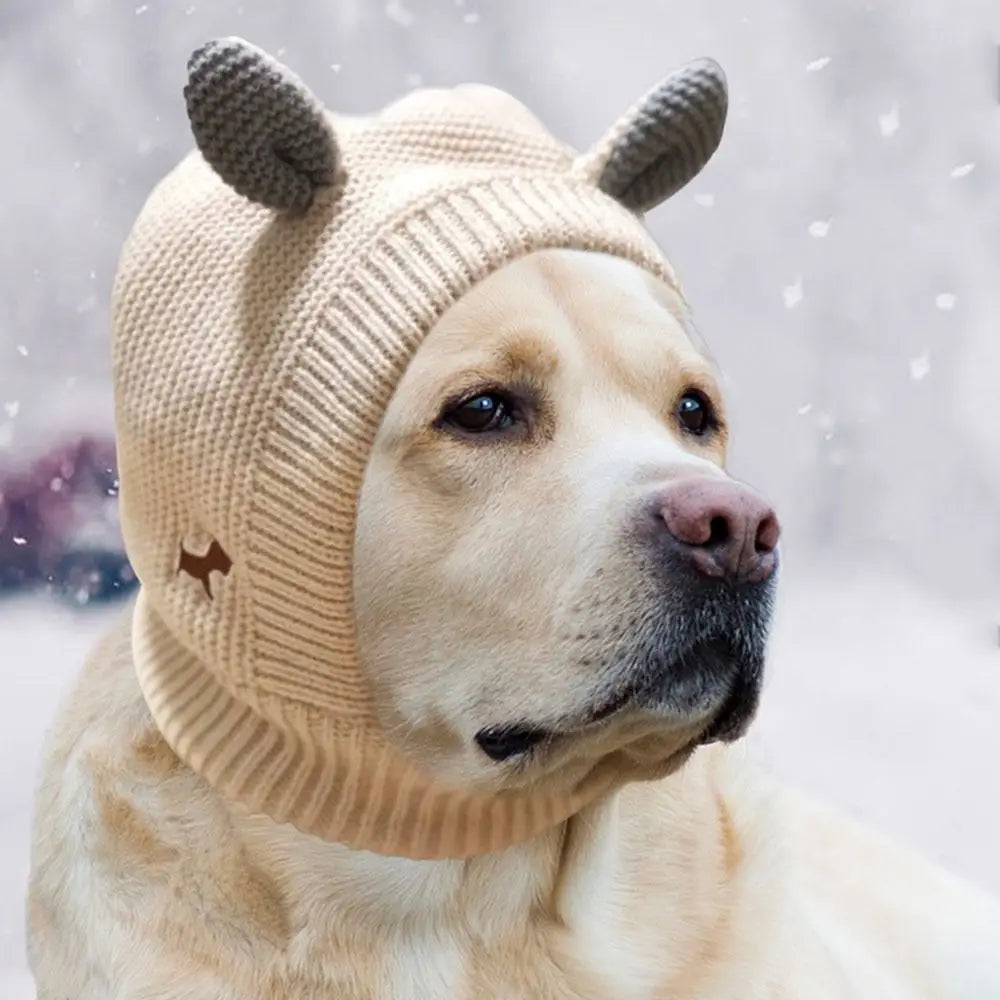 Knit Dog Ear Muffs & Hat