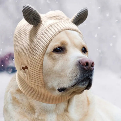 Knit Dog Ear Muffs & Hat