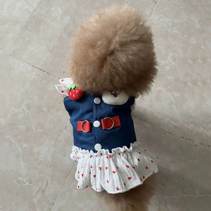 Strawberry Denim Dog Harness Dress