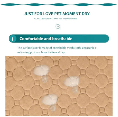 Reusable Washable Pee Pad