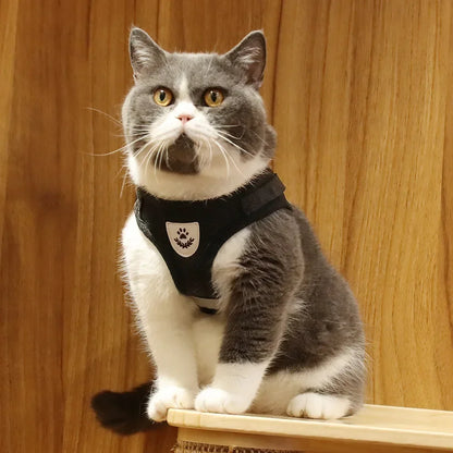 Reflective Escape-Proof Cat Harness Set