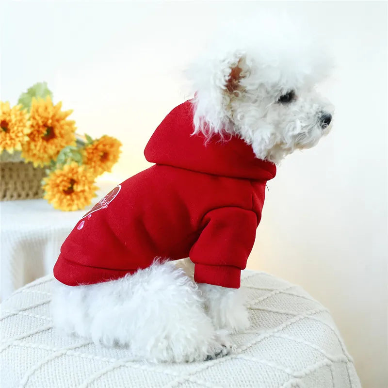 Sweet Pullover Dog Hoodie,Winter Clothes,Red,White,Valentine's Day,Puppy Hooded Coat for Small Dogs,Dachshund Pet Sweatshirt, XL
