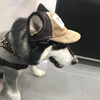 Dog Sun Hat with Ear Holes