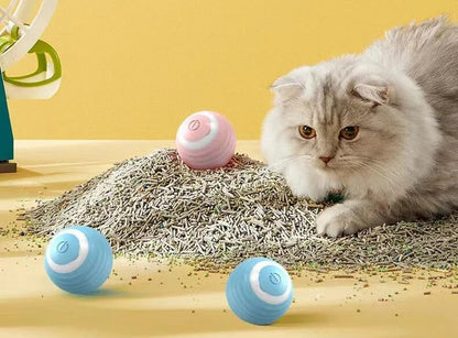 Automatic Rolling Cat Ball