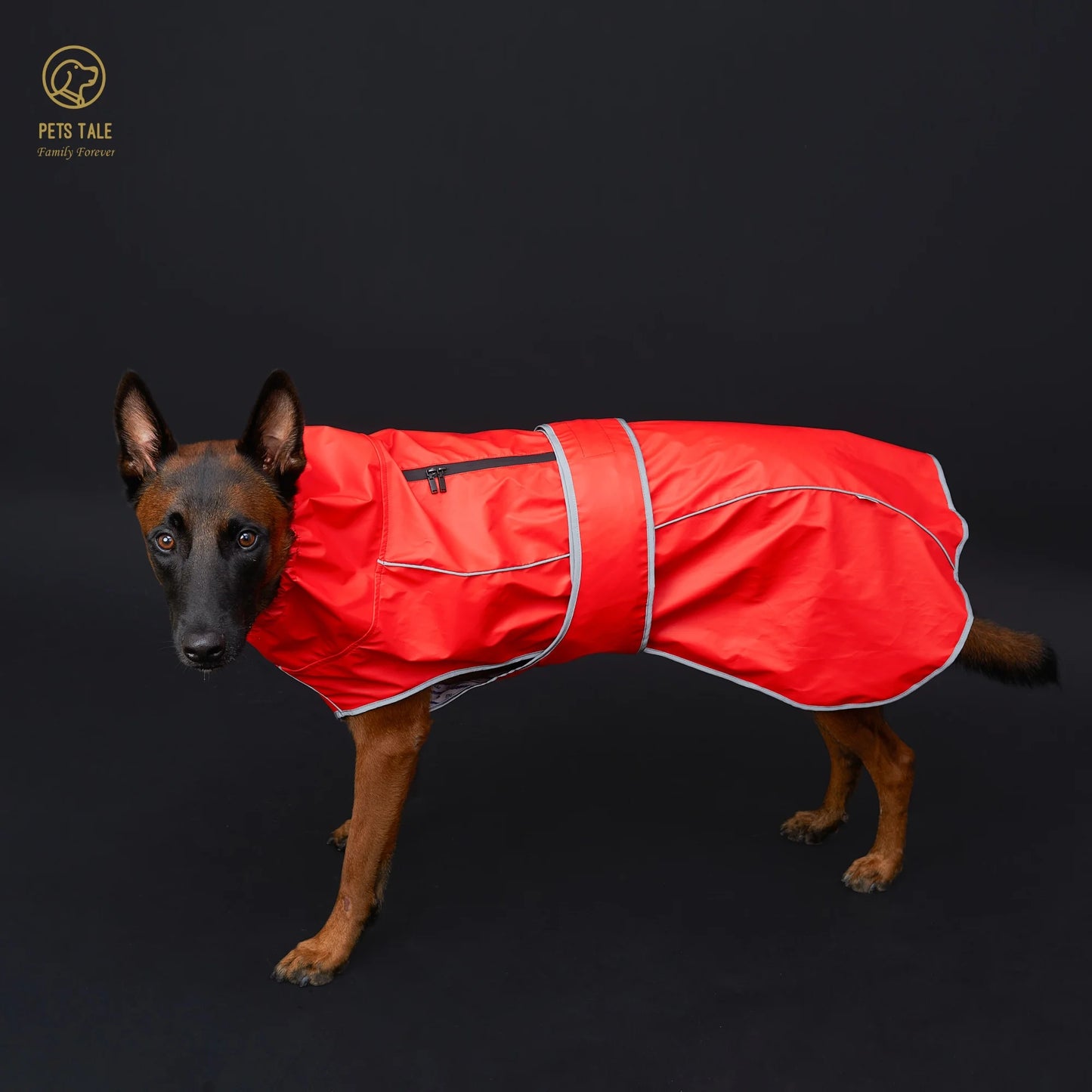 Hooded Reflective Dog Raincoat