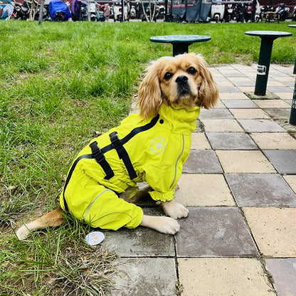 Reflective Dog Raincoat