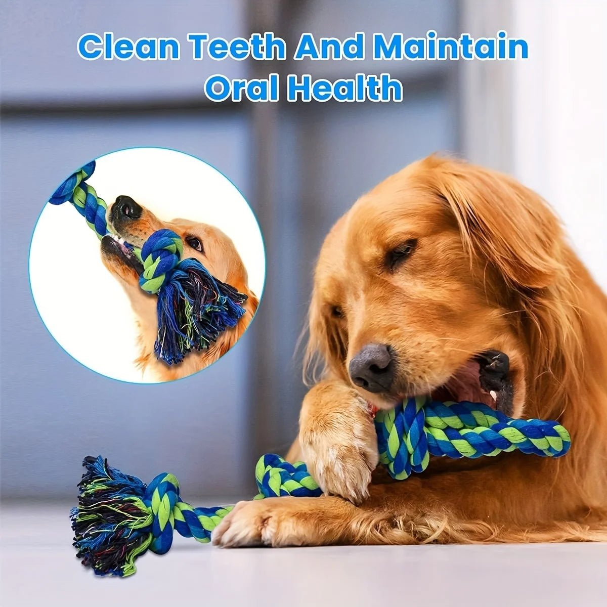 Tug-of-War Knot Dog Toy