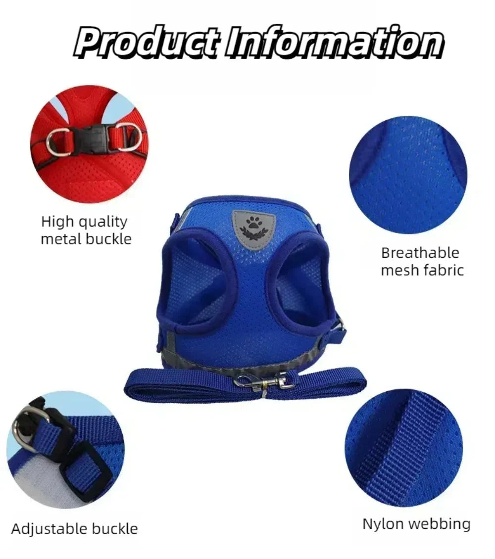 Reflective Escape-Proof Cat Harness Set
