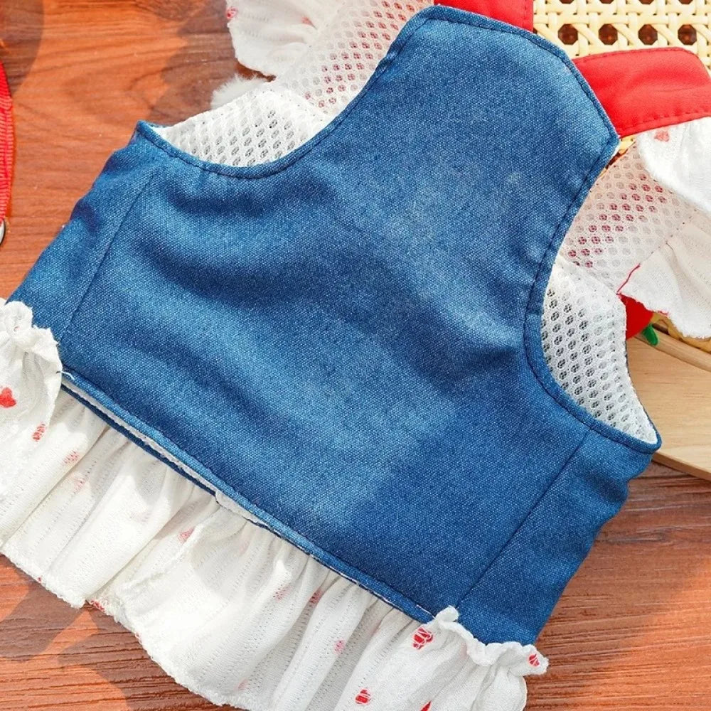 Strawberry Denim Dog Harness Dress