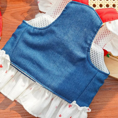 Strawberry Denim Dog Harness Dress