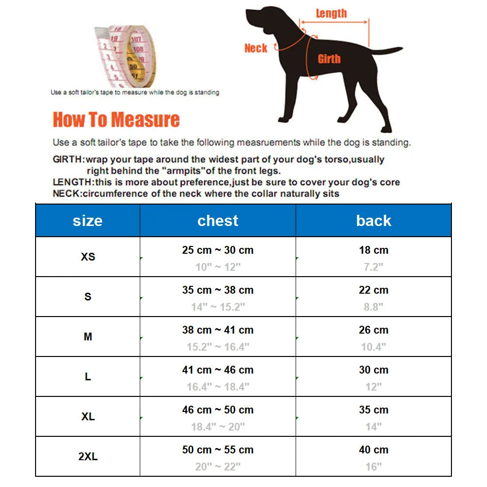 Transparent Hooded Dog Raincoat
