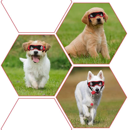 Dog Sunglasses with Adjustable Straps