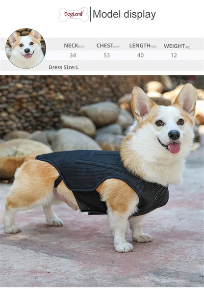 Dog IVDD Back Brace & Support