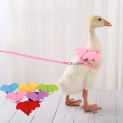 Angel Wing Cat & Puppy Harness Leash