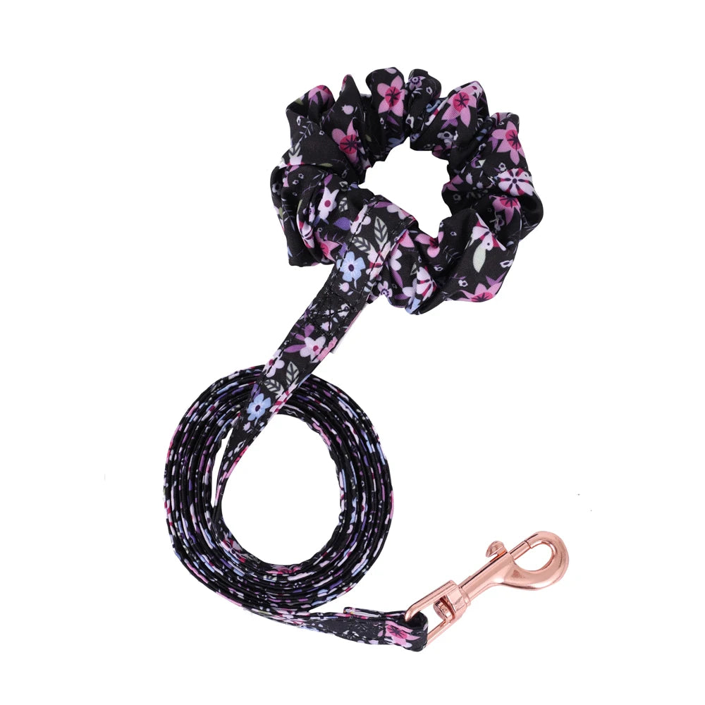 Small Dog Harness & Leash Set