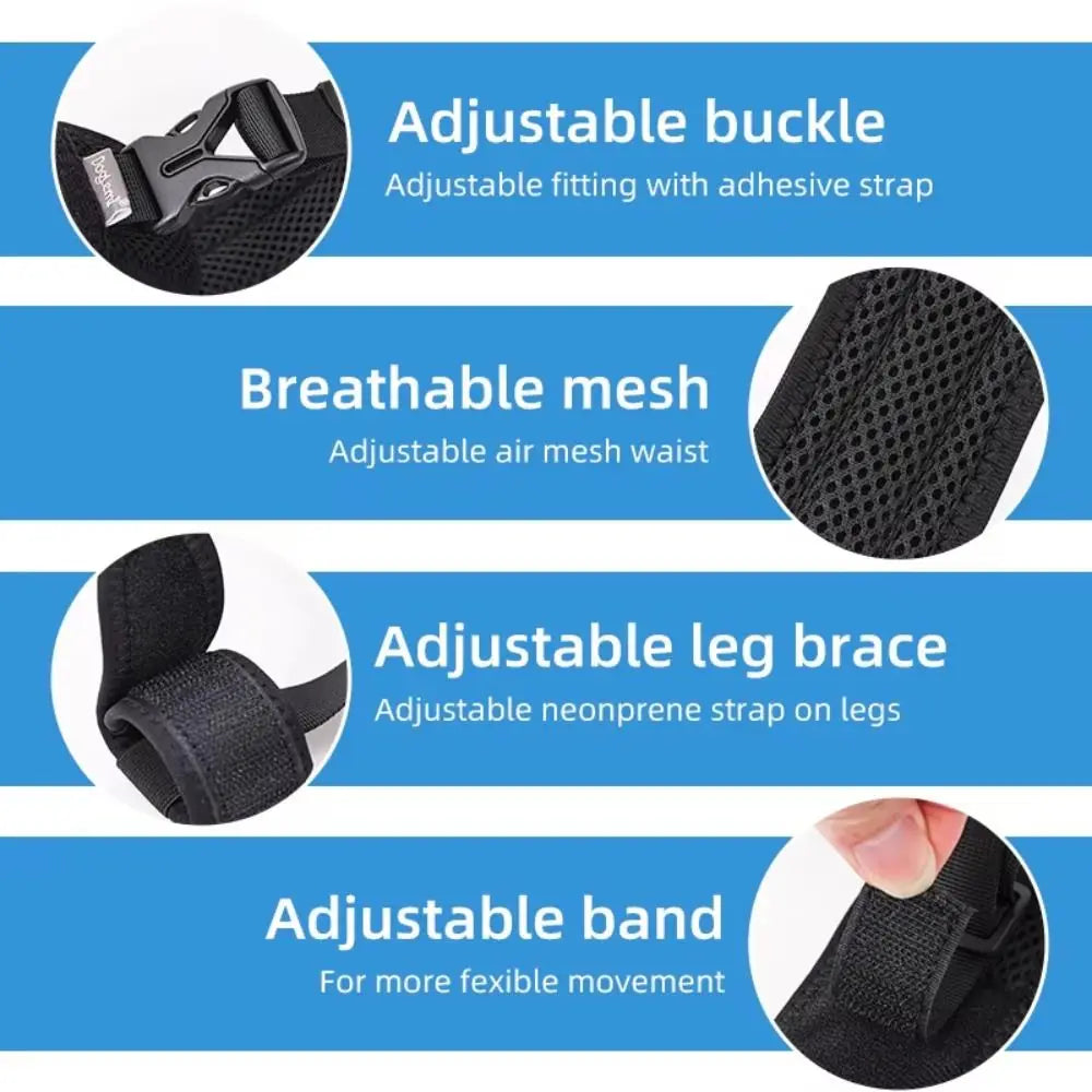 Dog Hip Brace & Hind Leg Support