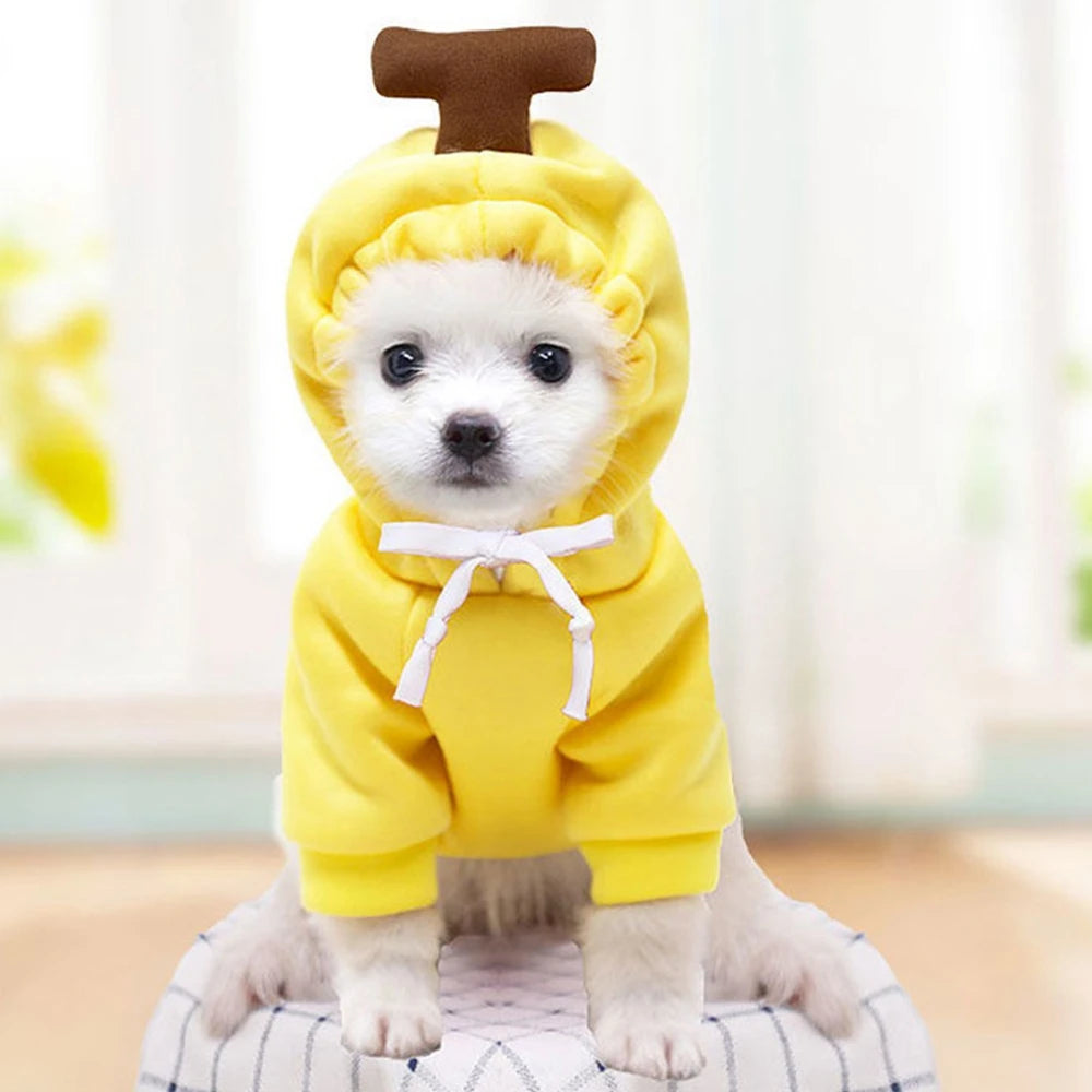 Pet Clothes Dog Hooded Sweatshirt Fruit Warm Coat Cat Sweater Winter Chihuahua Costume for Puppy Small Medium Dogs Cat Clothes