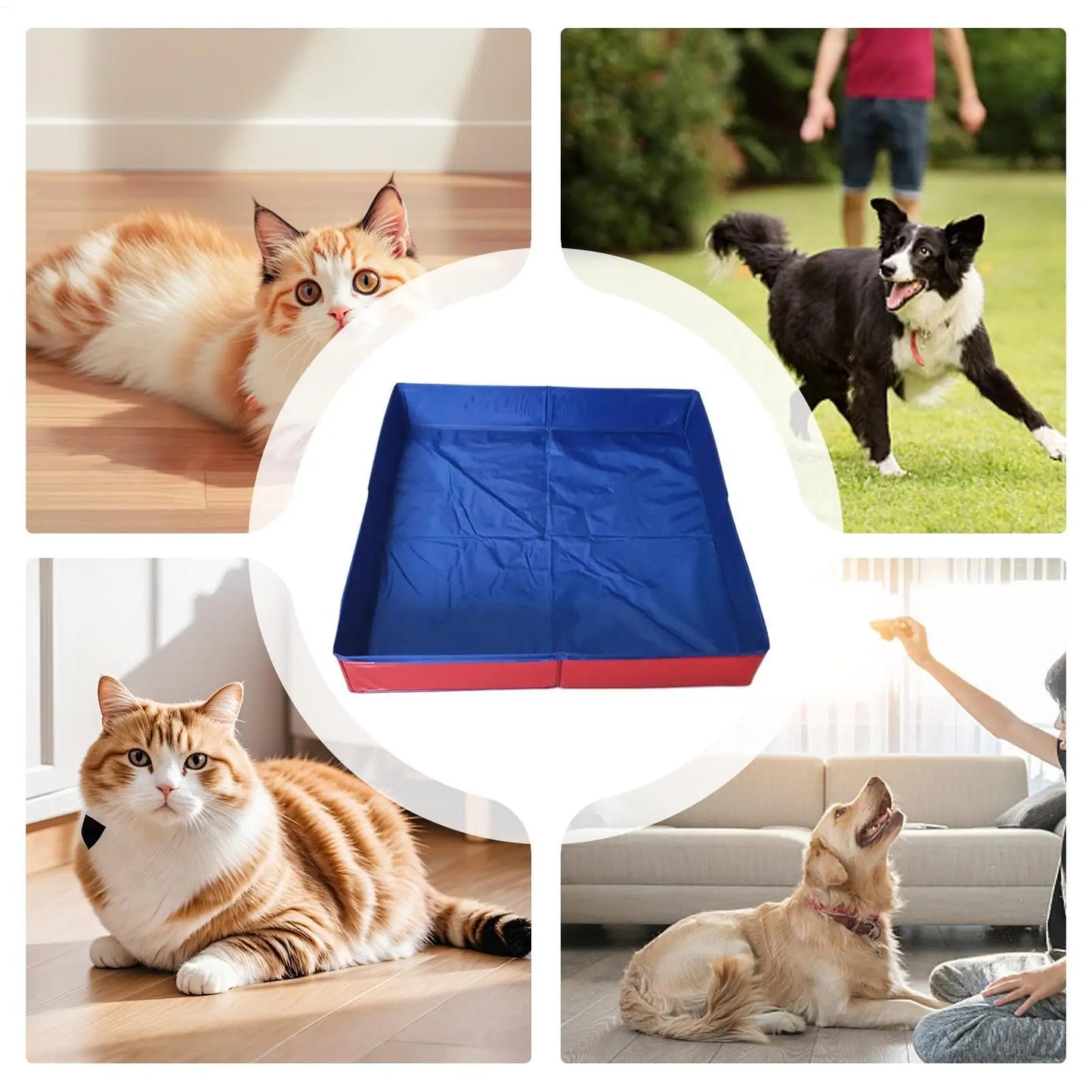 Foldable Pet Paddling Pool