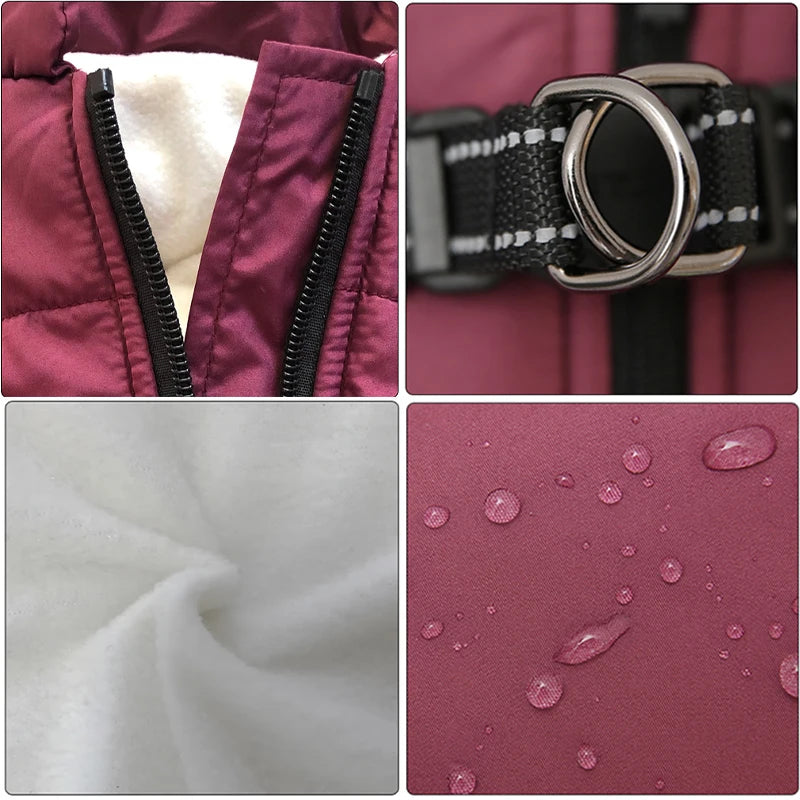 Winter Dog Jacket with Built-In Harness