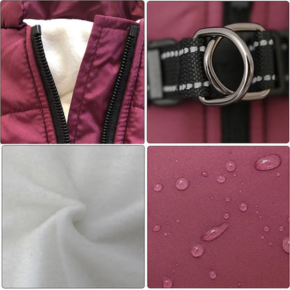 Winter Dog Jacket with Built-In Harness