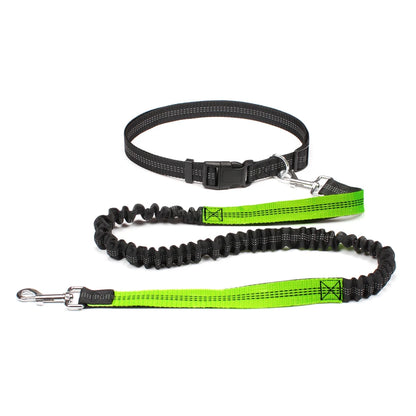 Hands-Free Dog Leash with Waist Belt
