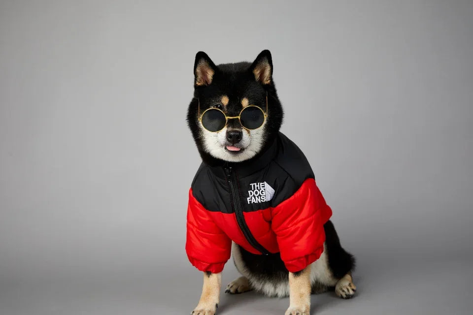 Puppy Down Jacket