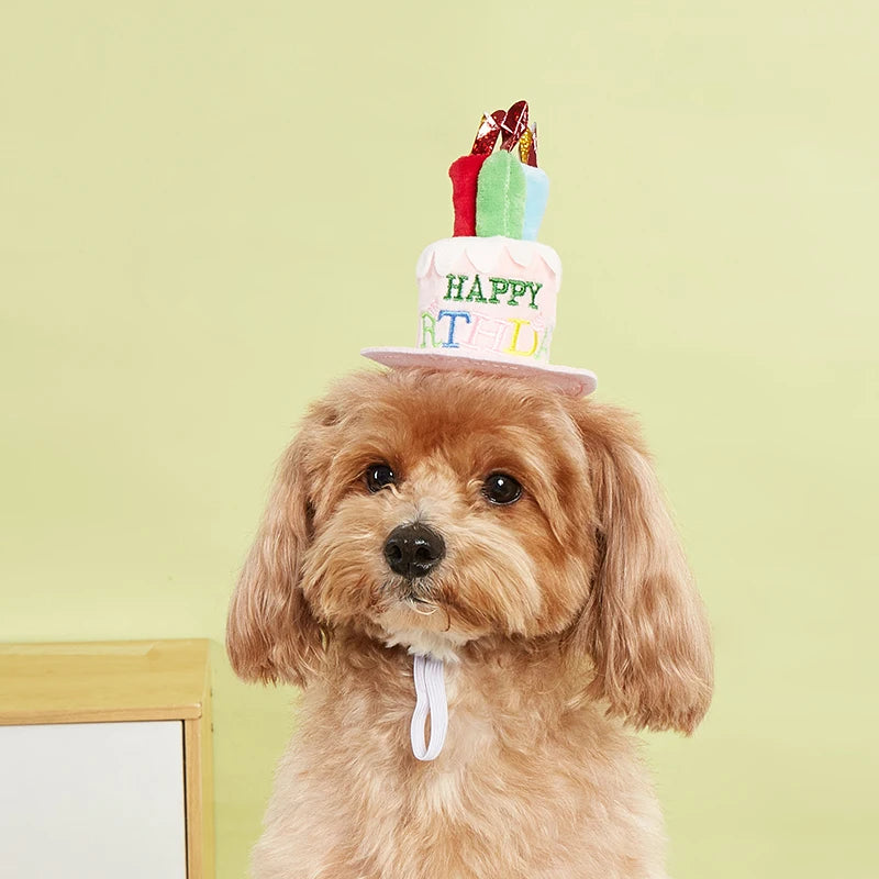 Pet Birthday Party Hat