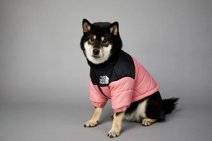 Puppy Down Jacket