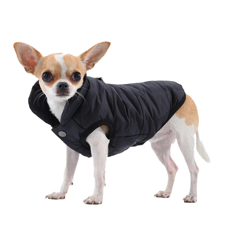 Windproof Padded Winter Dog Coat