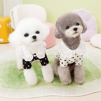 Polka Dot Summer Dog Dress