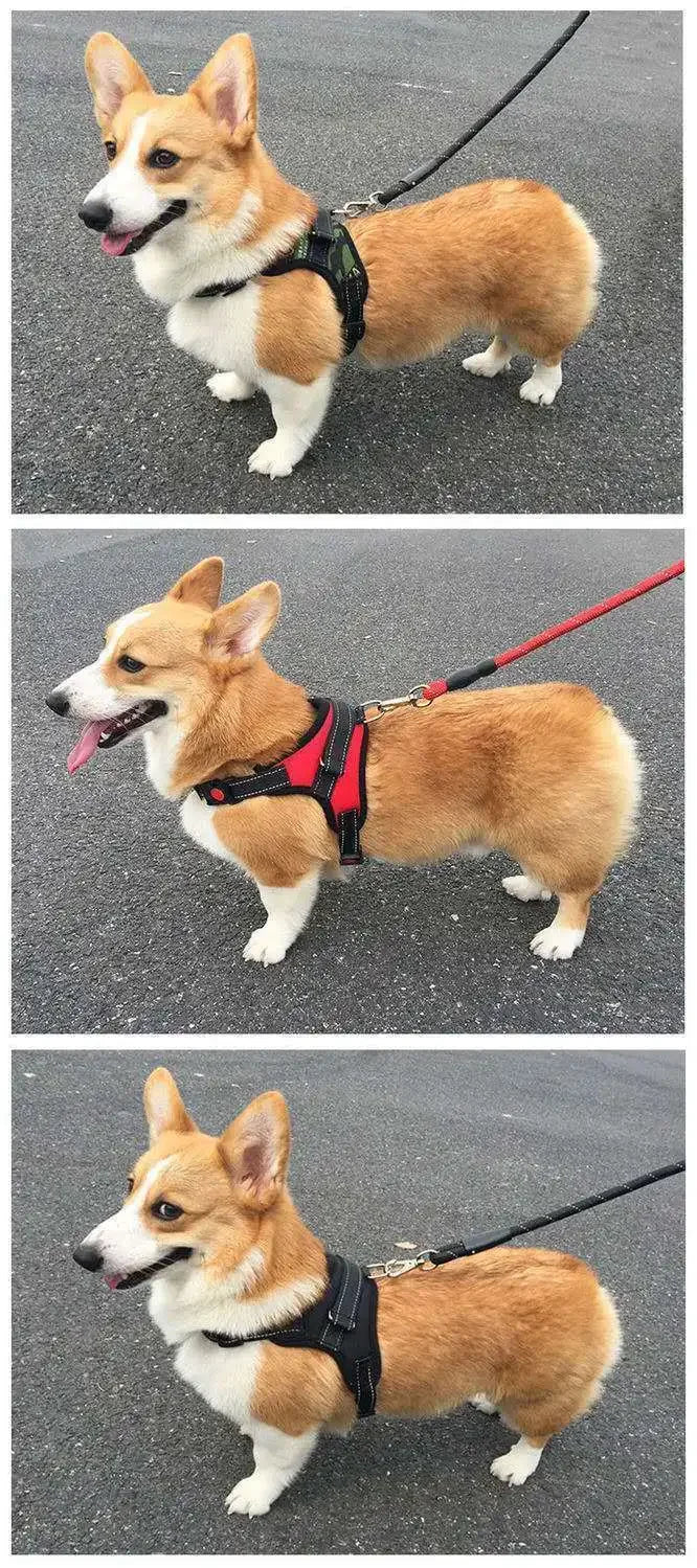 Quick-Release Dog Vest Harness
