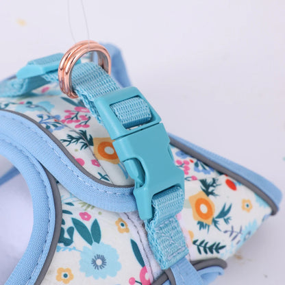 Small Dog Harness & Leash Set