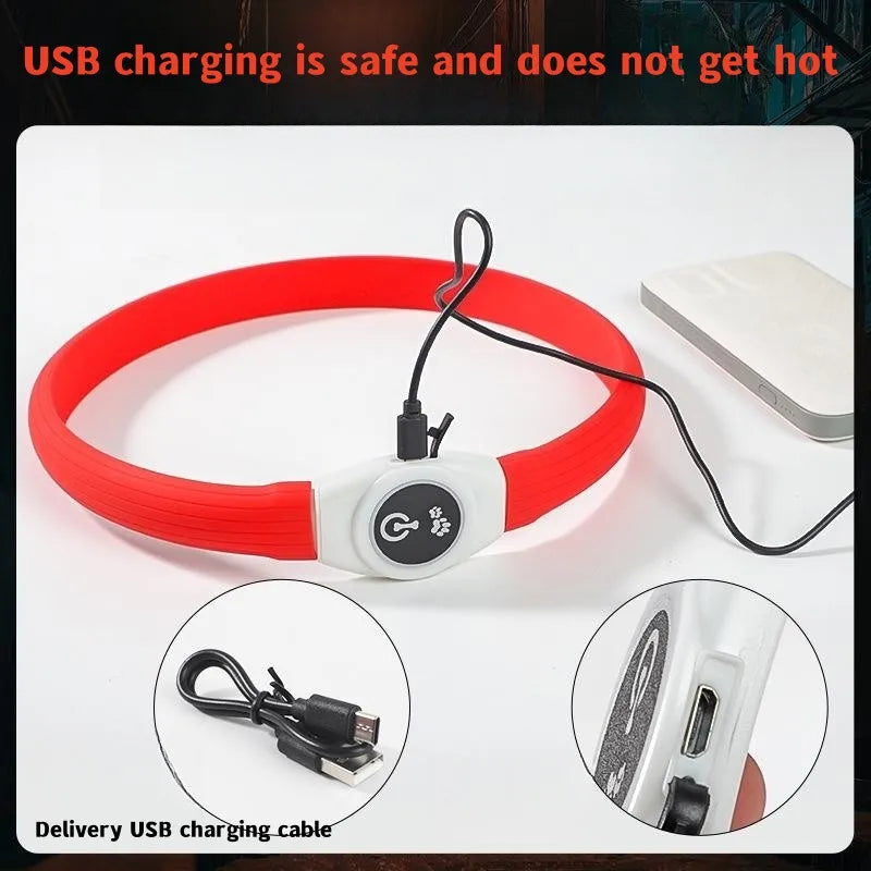 LED Light-Up Dog Collar