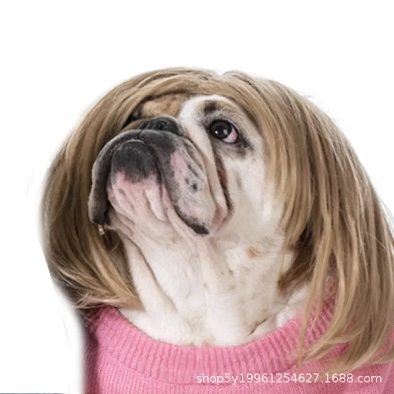 Funny Dog Cosplay Wig