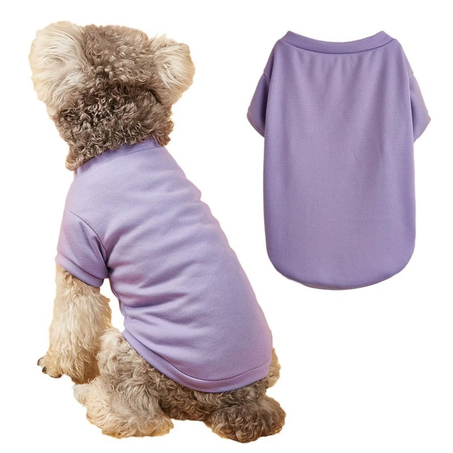 Solid Summer Dog Tee