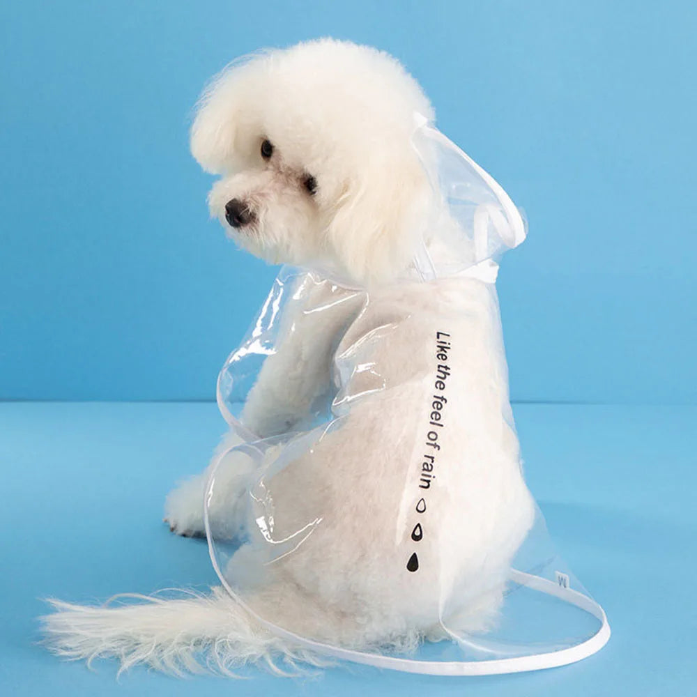 Transparent Hooded Dog Raincoat