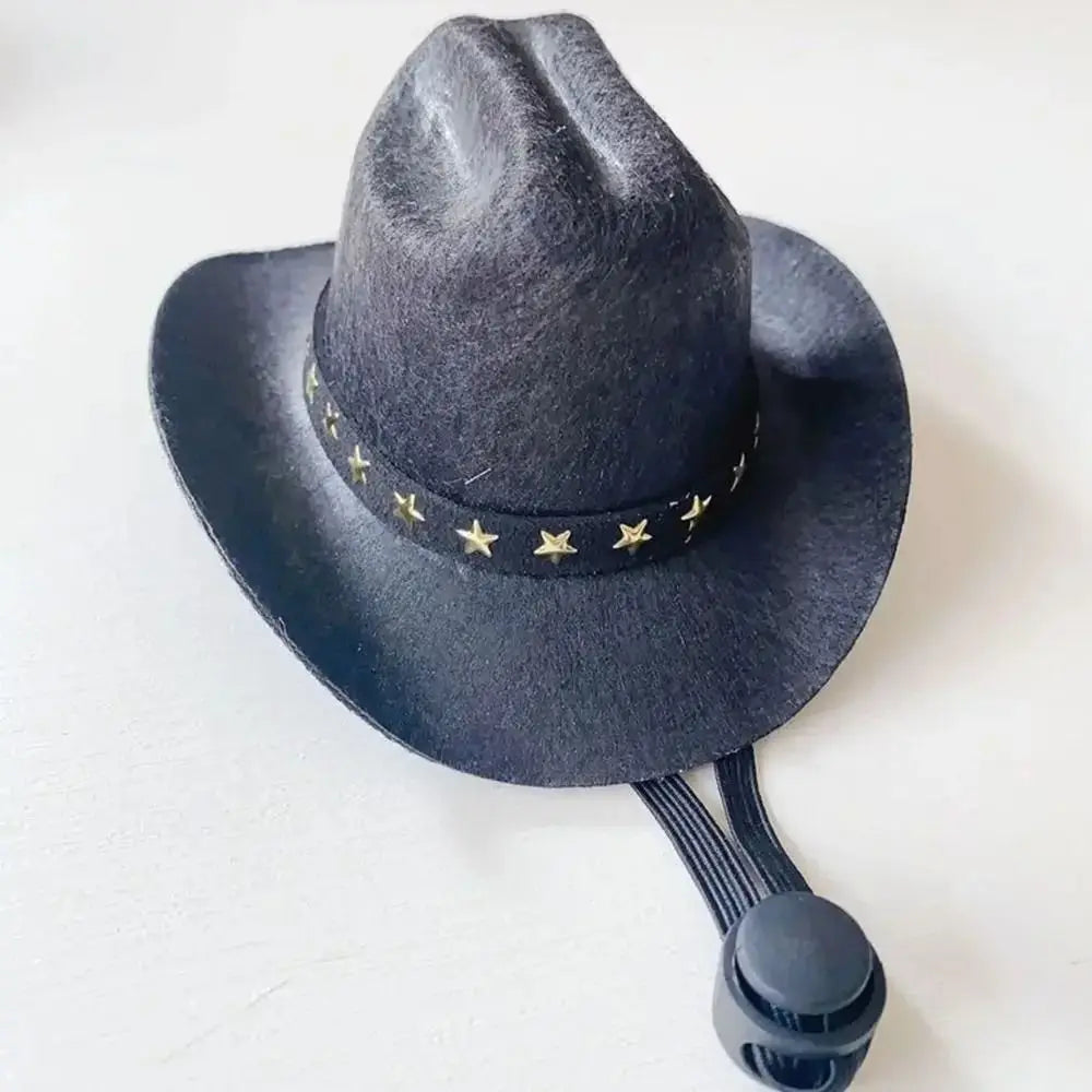 Dog Cowboy Hat