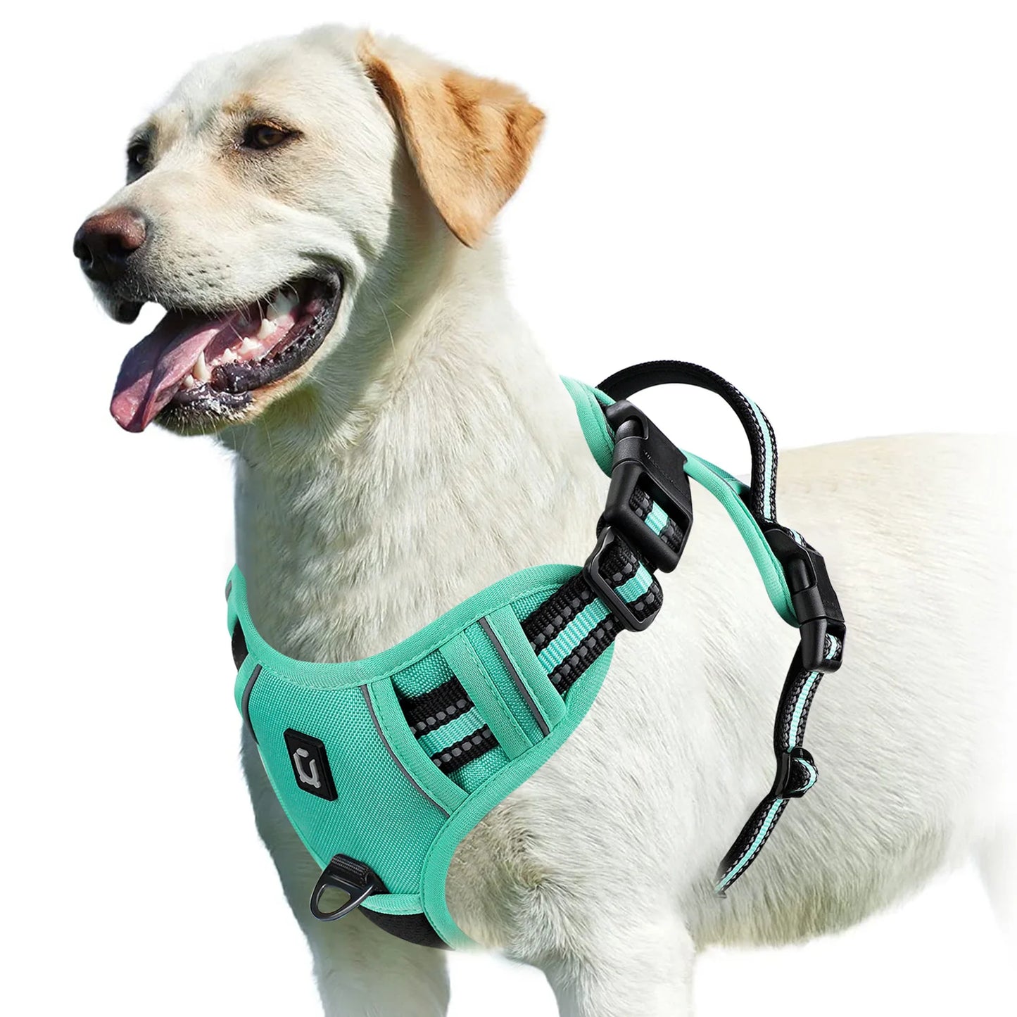 Padded No-Pull Dog Harness