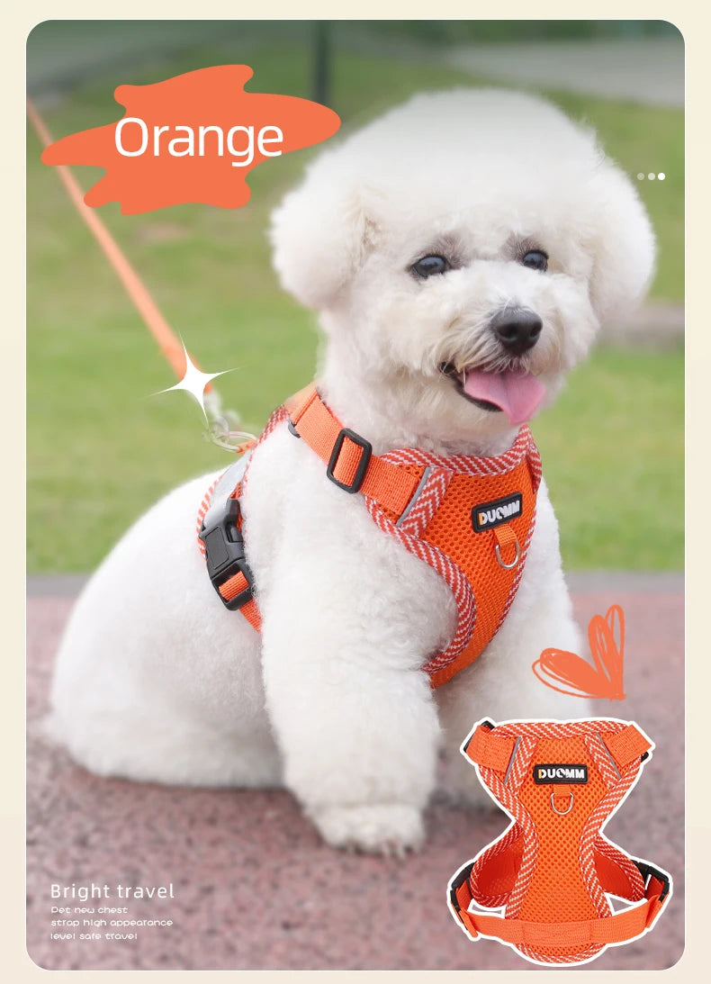 Reflective Mesh Cat Harness & Leash Set