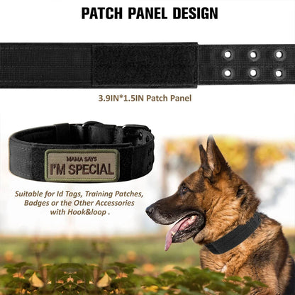 Military-Style Adjustable Dog Collar