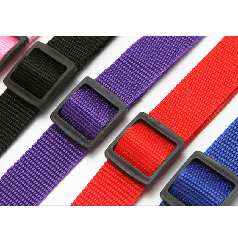 2-in-1 Dog Car Seat Belt & Leash