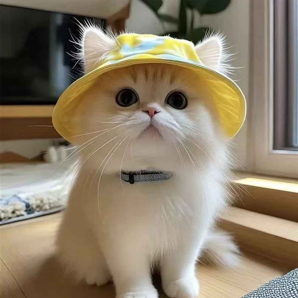 Cat Sun Hat with Ear Holes