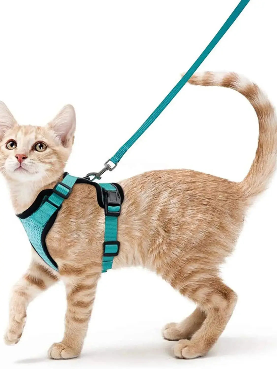 Soft Escape-Proof Cat Harness & Leash