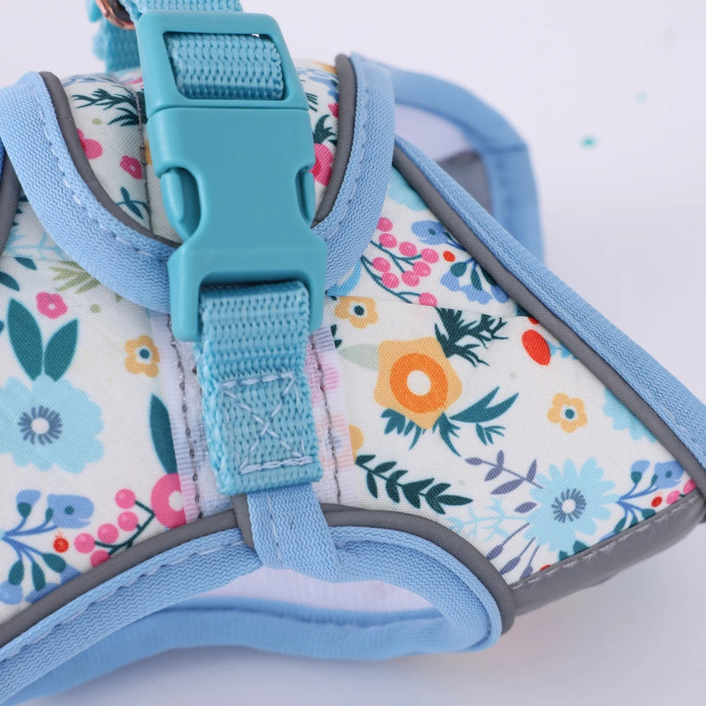 Small Dog Harness & Leash Set